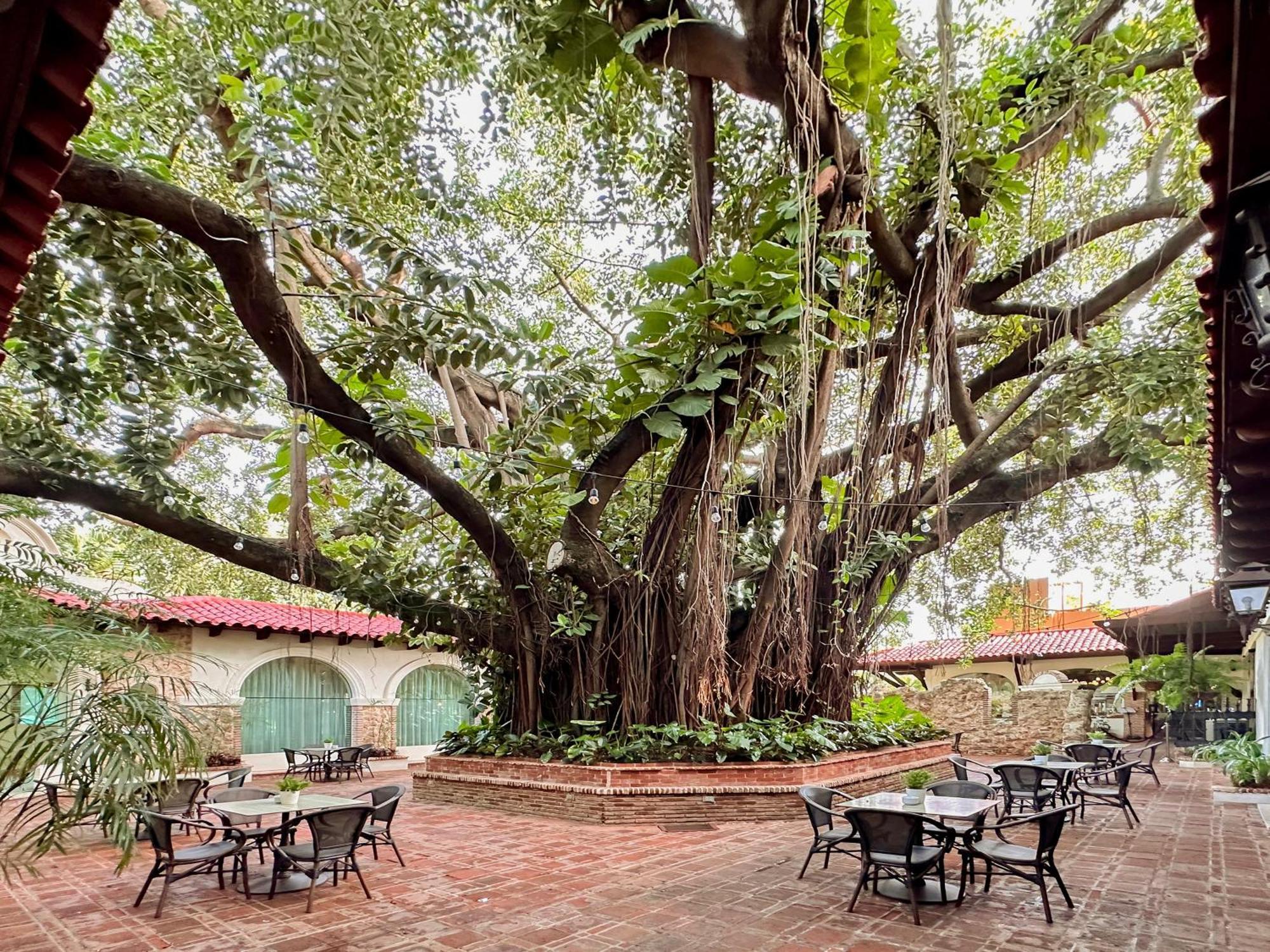 El Embajador, A Royal Hideaway Hotel Santo Domingo Bagian luar foto The Banyan Tree at the Banyan Resort